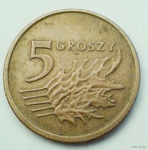 5 грошей 2000 польша