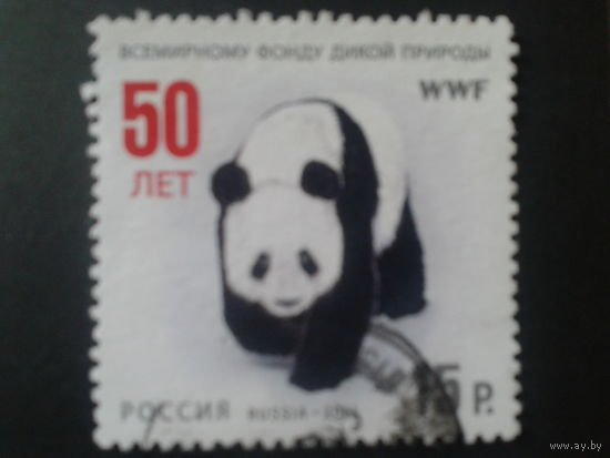 Россия 2011 Панда WWF Mi-1,7 евро гаш.