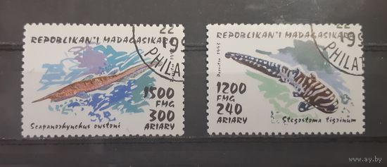 Мадагаскар. 1993 год. Фауна моря