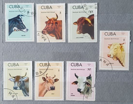 Куба коровы пароды 7шт