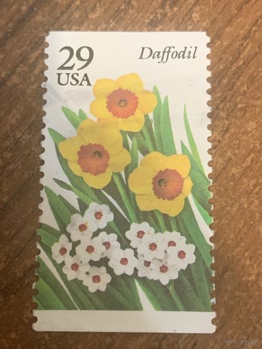 США. Цветы. Daffodil. Марка из серии
