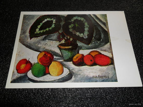 Открытка Машков И.И. (1881-1944). Натюрморт с бегониями. 1910 г.