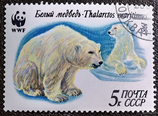 Марка СССР 1987 год Белый медведь