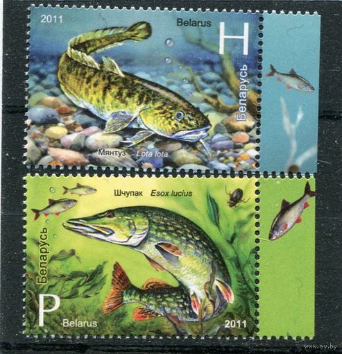 Беларусь 2011. Рыбы водоемов Беларуси