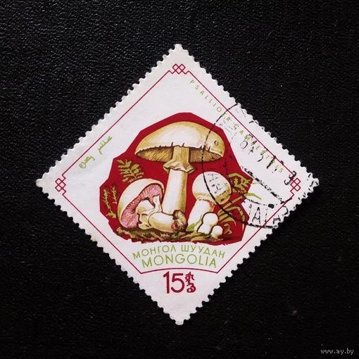 Марка Монголия 1964 год Грибы