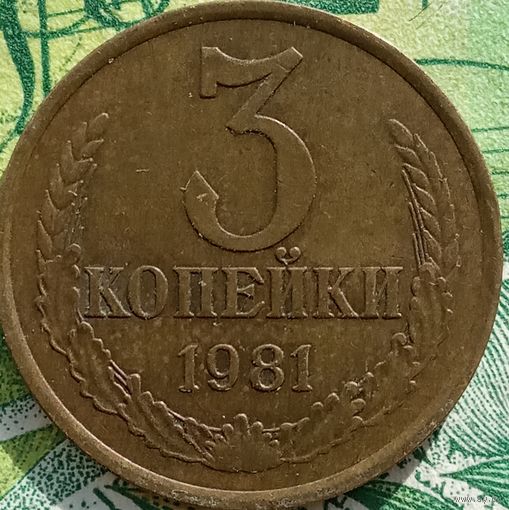 3 копейки 1981 шт3.2