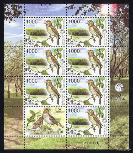 2007_Восточный соловей. Птица года.