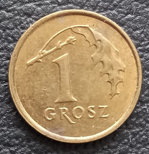 1 грош 2007