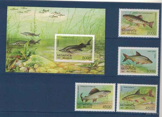 Марки РБ, Рыбы Беларуси, 1997