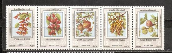 ФФ2 Сирия 1974 Плоды