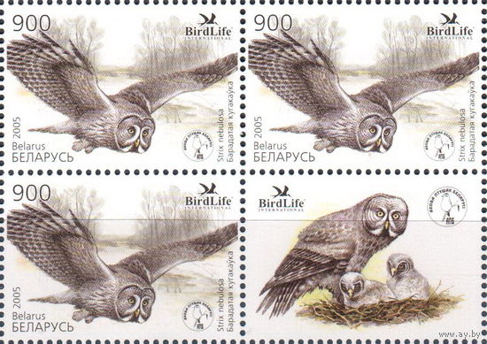 Беларусь 2005   Птица года.Бородатая неясыть (кварт с купоном)