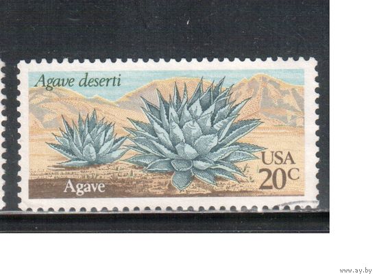 США-1981, (Мих.1518) ,  гаш.  ,Флора, Кактусы