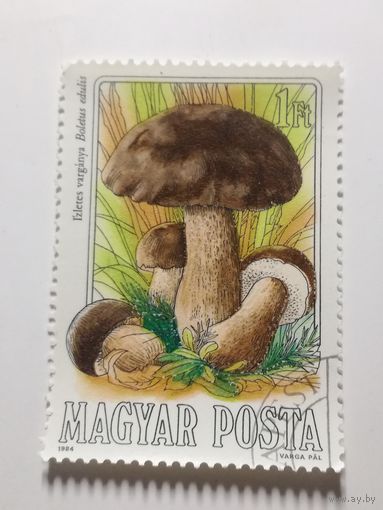 Венгрия 1984.  Грибы