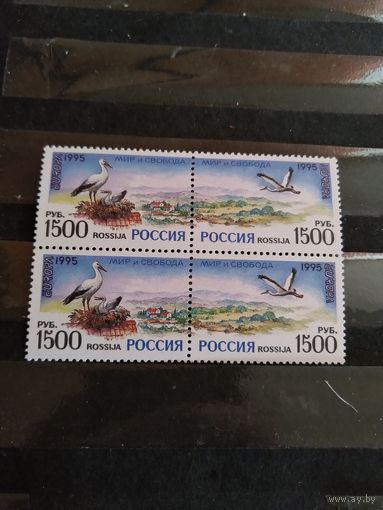 1995 Россия фауна птицы чистый квартблок из 2-х сцепок клей MNH** (р-10)