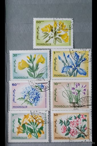 Монголия цветы 7шт