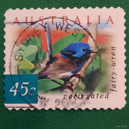 Австралия 2001. Фауна. Птицы. Veriagared Fairy-Wren