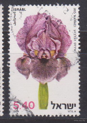 Цветы ирис флора Израиль 1978 год лот 15