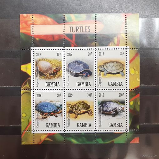 Гамбия. 2019 год. Фауна. Рептилии. Черепахи (1117)