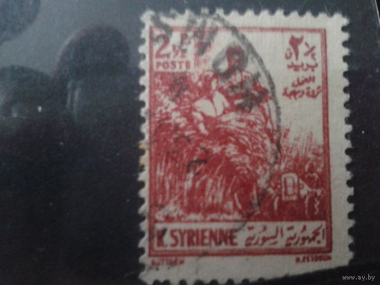 Сирия 1954 Стандарт, сбор урожая