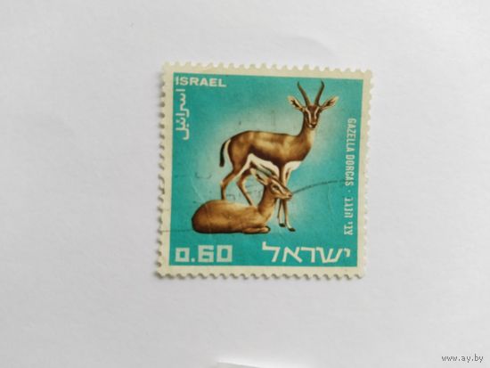 Израиль 1967