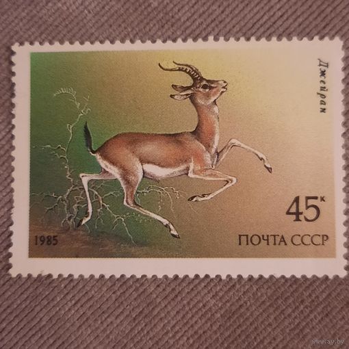 СССР 1985. Фауна. Джейран