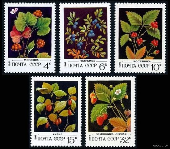 Марки СССР 1982 год. 5273-5277. Дикорастущие ягоды. Полная серия из 5 марок. 5273-5277.