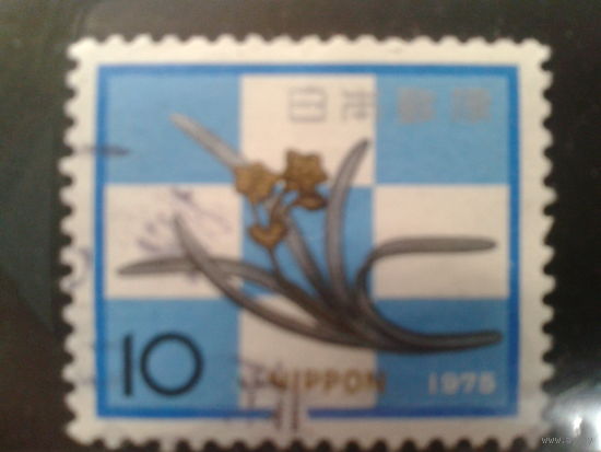 Япония, 1974. С Новым годом