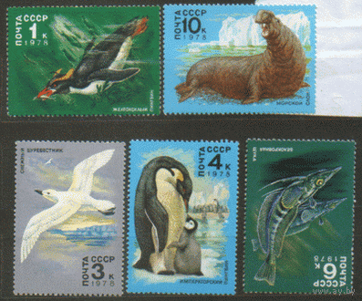 Заг. 4792/96. 1978. Животный мир Антарктиды. ЧиСт.