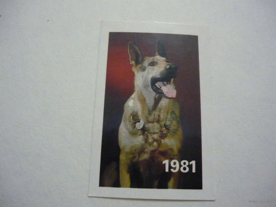 1981г.