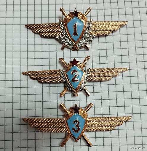 Летная классность