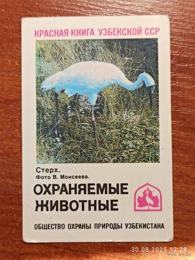 Календарик Стерх 1986 Моисеев