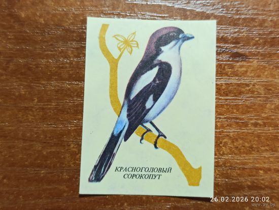 Спичечная этикетка Красноголовый Сорокопут