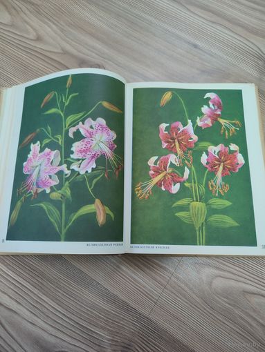 Книга цветы нашей родины