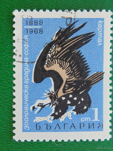 Болгария 1968г. Птицы.