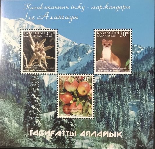 Казахстан. 2002г. Национальный парк Алатау.