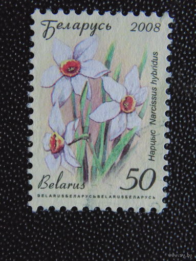 Беларусь 2008 г. Стандарт.