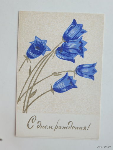 Пинская с днем рождения 1960-е  10х15 см открытка БССР