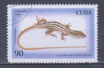 [1071] Куба 1994. Фауна.Ящерица. Гашеная марка. 4
