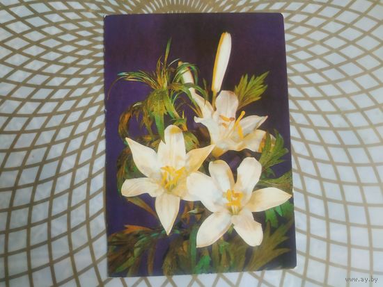 Открытка СССР 1989 год.   Чистая. И.Дергилев . Состояние на скане.