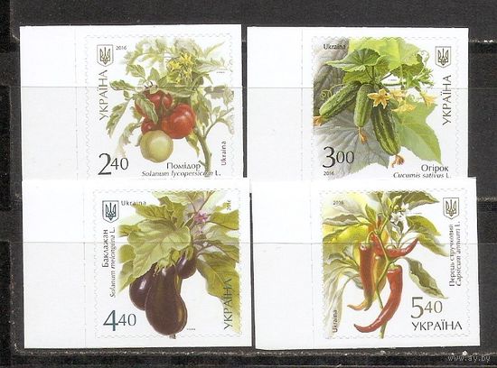 ФФ1 Украина 2016 Овощи самоклейка