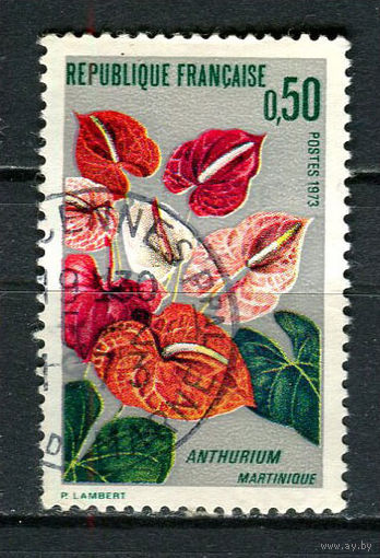 Франция - 1973 - Цветы. Антуриум - [Mi. 1818] - полная серия - 1 марка. Гашеная.  (LOT Gz9)-T3P35