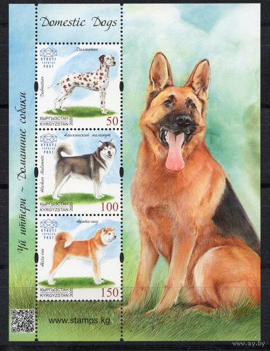 Кыргызстан 2020. Собаки блок (1024)