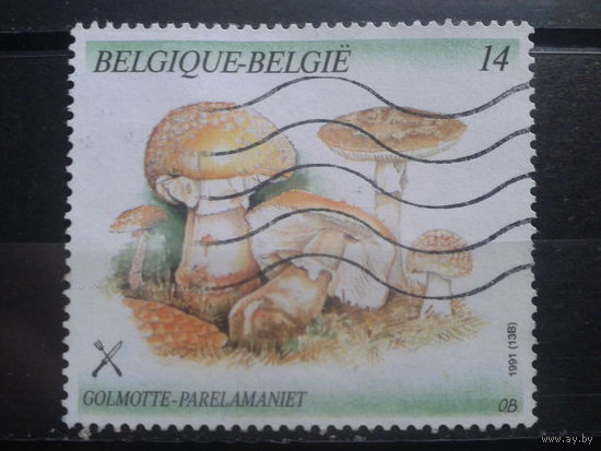 Бельгия 1991 Грибы