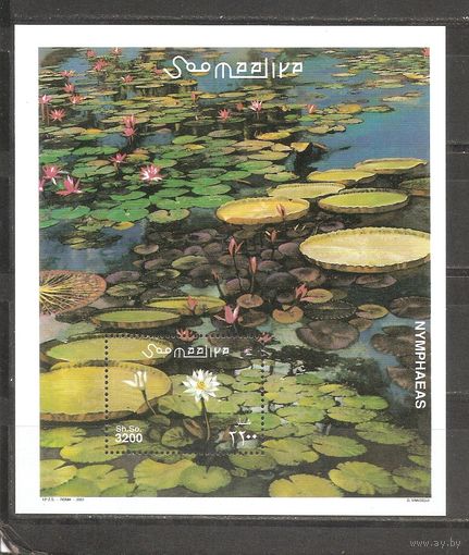 Старт с 50 копеек Сомали 2001 Цветы