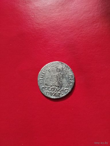 Грош Сигизмунд 2 Август