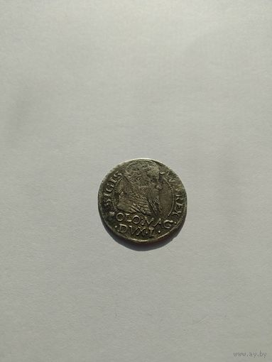 Грош Сигизмунд 2 Август