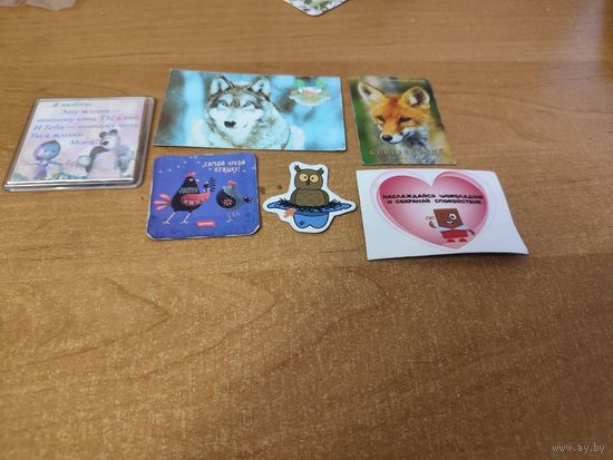 Магнит  6 шт