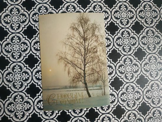 Открытка СССР 1981 год. Чистая. Н.Дейкин. Состояние на скане.