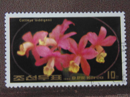 Корея 1984 г. Цветы.