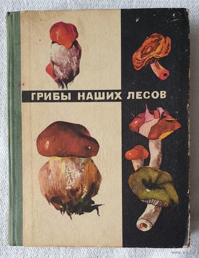 Грибы наших лесов | Сержанина | Кудряшева 1970 год